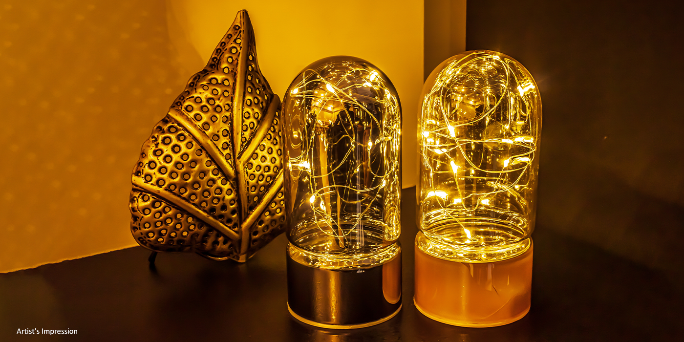 Fairy Lights for Diwali Decoration